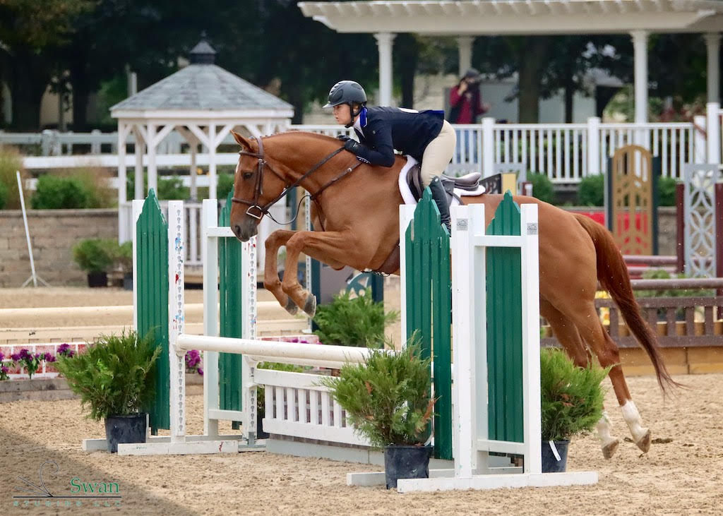 Northern Illinois Hunter Jumper Association