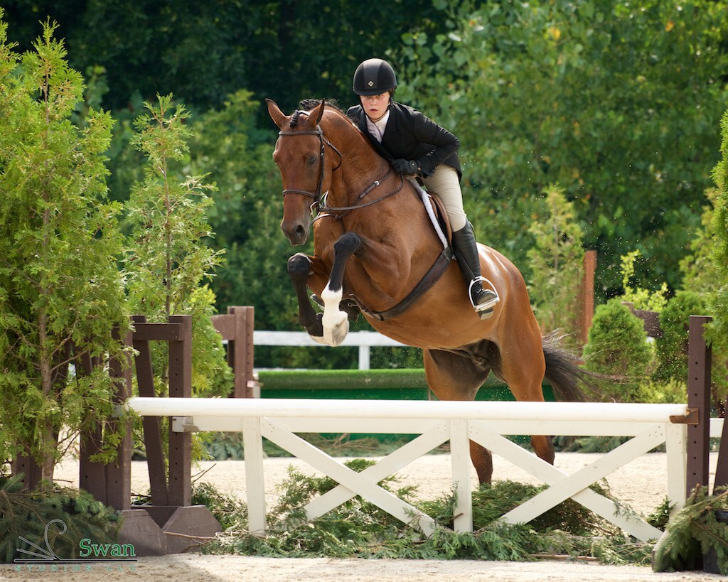 Northern Illinois Hunter Jumper Association