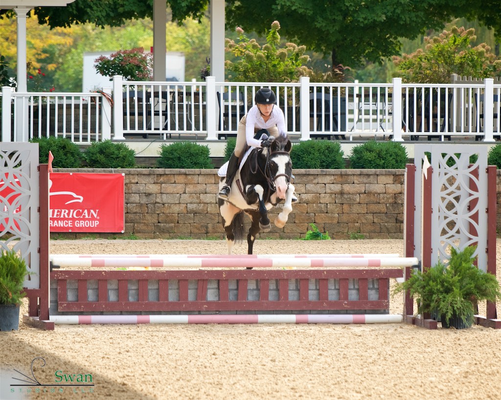 Photo Album Northern Illinois Hunter Jumper Association
