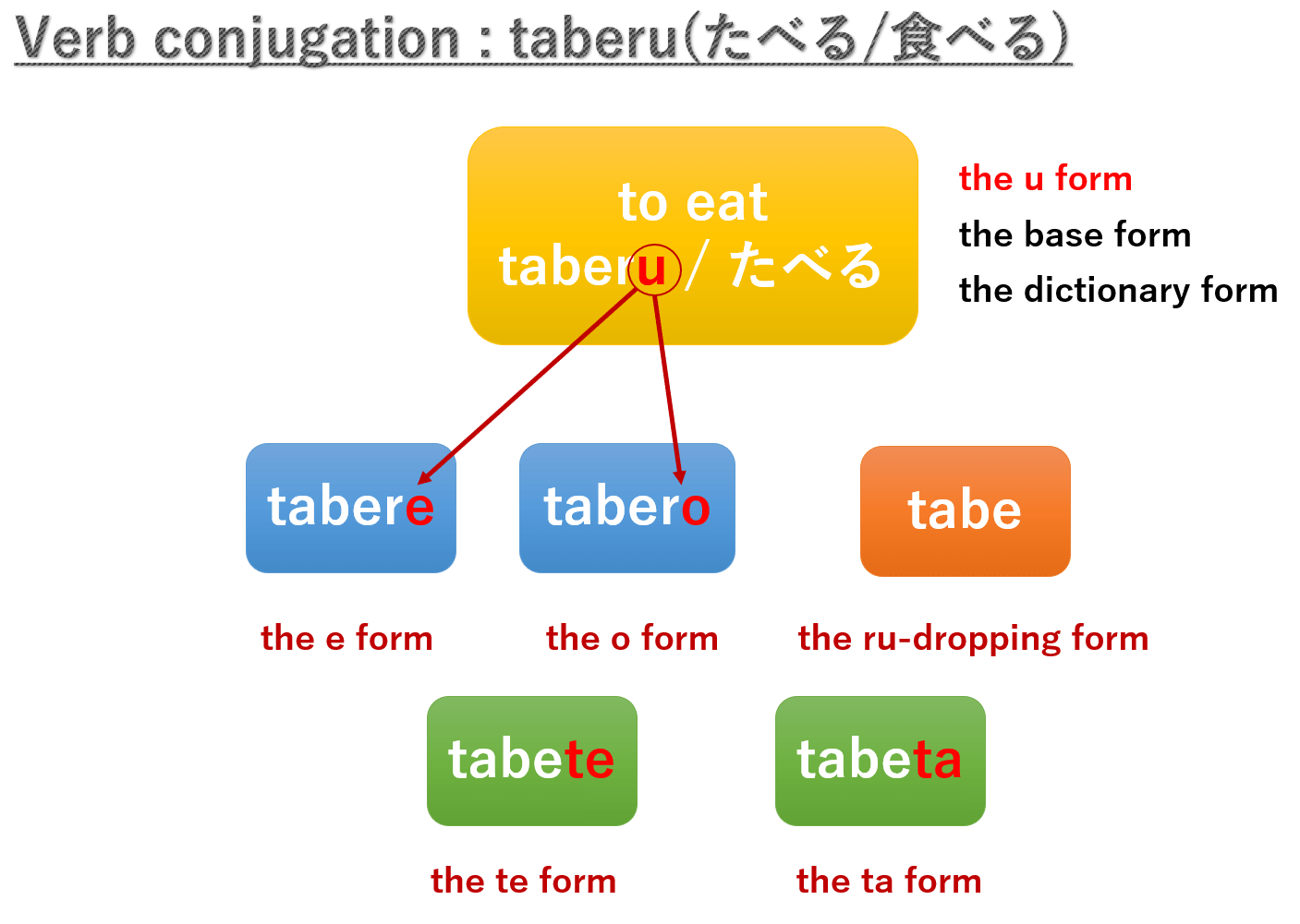 Basic 20 Japanese Verbs for beginner