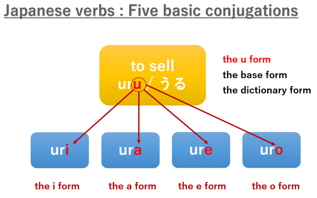 The Japanese verb forms and verb conjugation