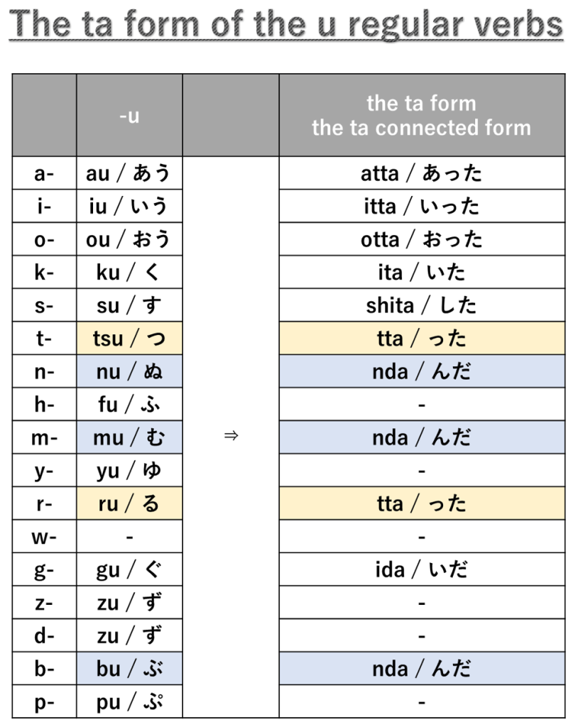 The Japanese verb forms and verb conjugation
