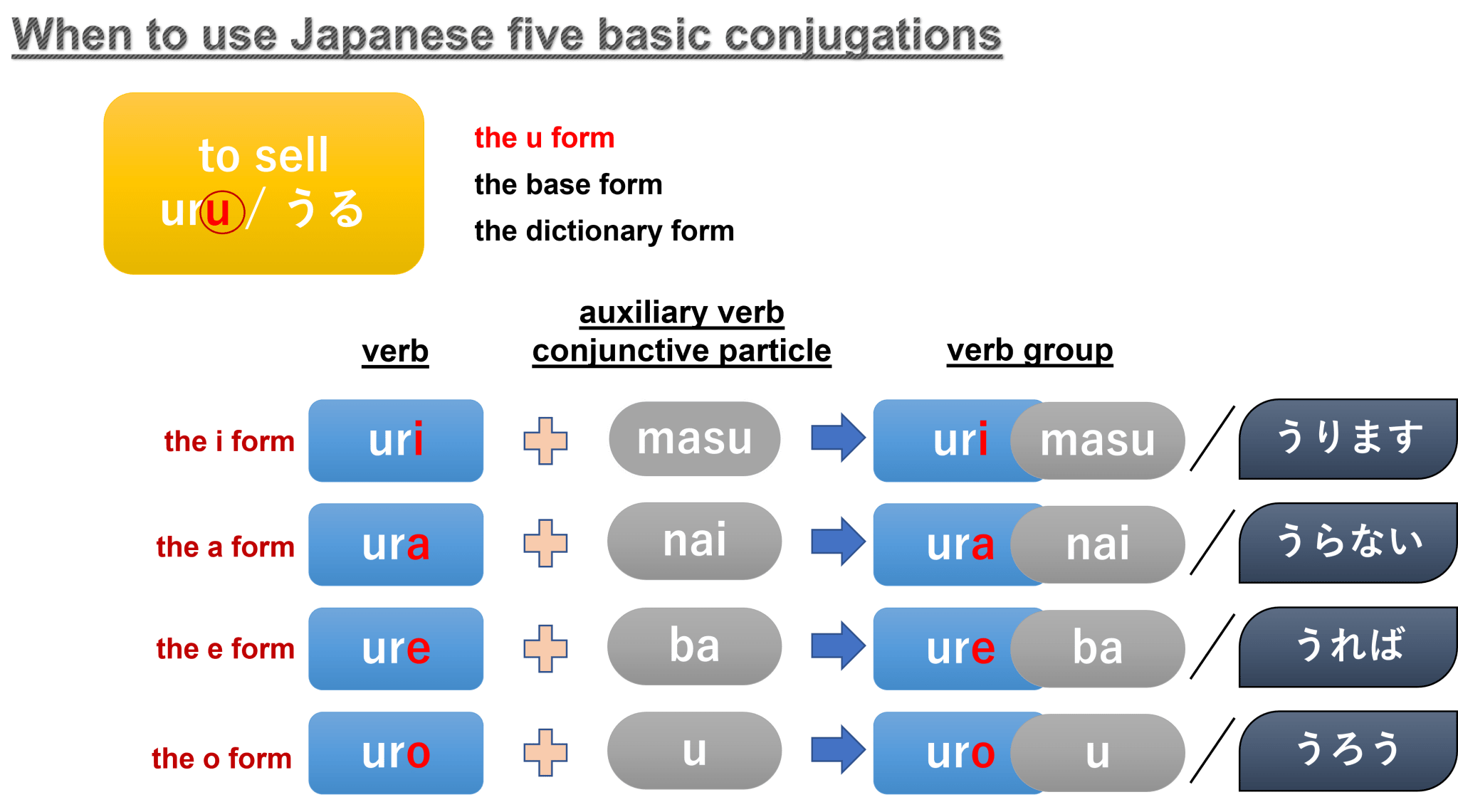 The Japanese verb forms and verb conjugation