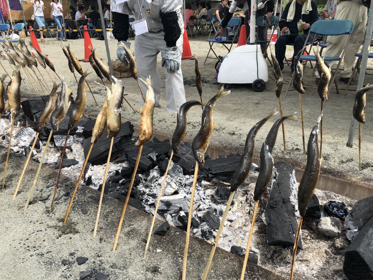 ”今が旬”鮎を豪快に炭火焼き！魚野川の「鮎まるかじり祭り」／南魚沼市｜新潟県観光協会公式ブログ たびきち｜【公式】新潟県のおすすめ観光・旅行