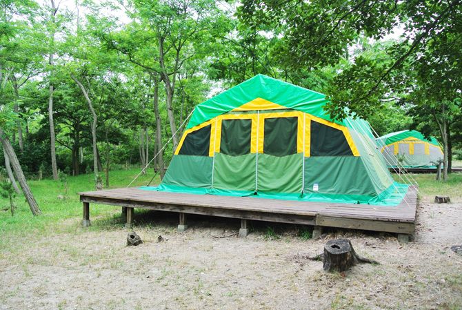 新潟市「海辺の森キャンプ場」へ行ってみた。｜新潟県観光協会公式ブログ たびきち｜【公式】新潟県のおすすめ観光・旅行情報！にいがた観光ナビ