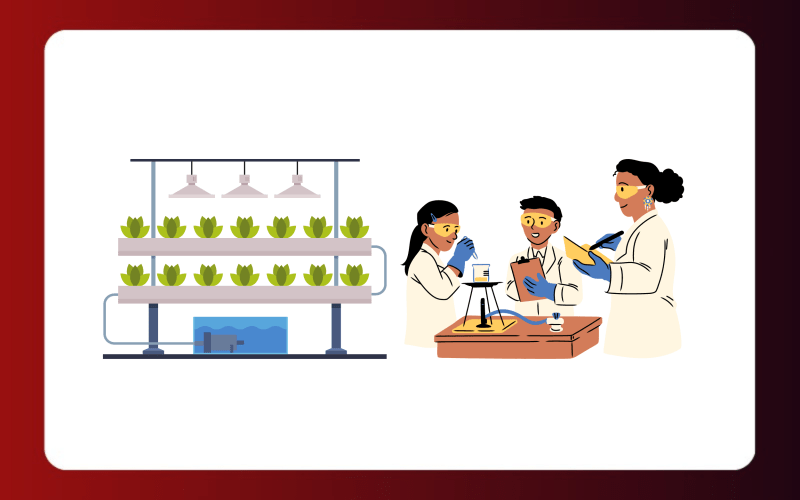 Course NIILM University Kaithal, Haryana