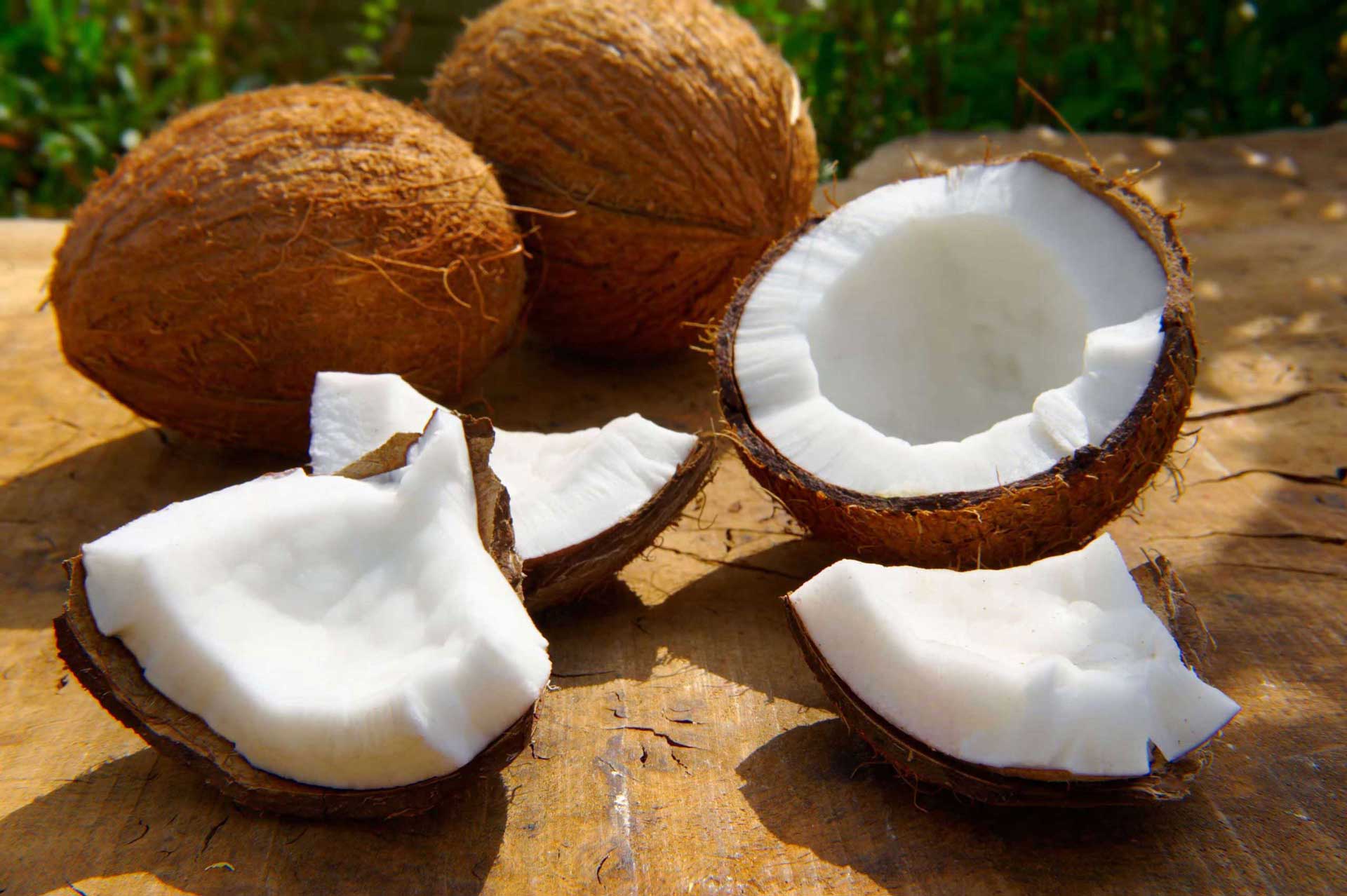Coconut – Nikasu