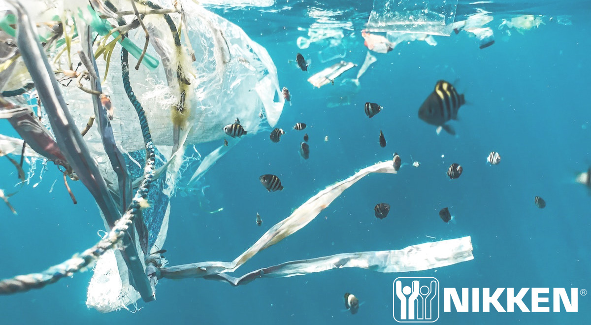 Plastic Why We Need to Learn How to Dispose of It Active Wellness Blog