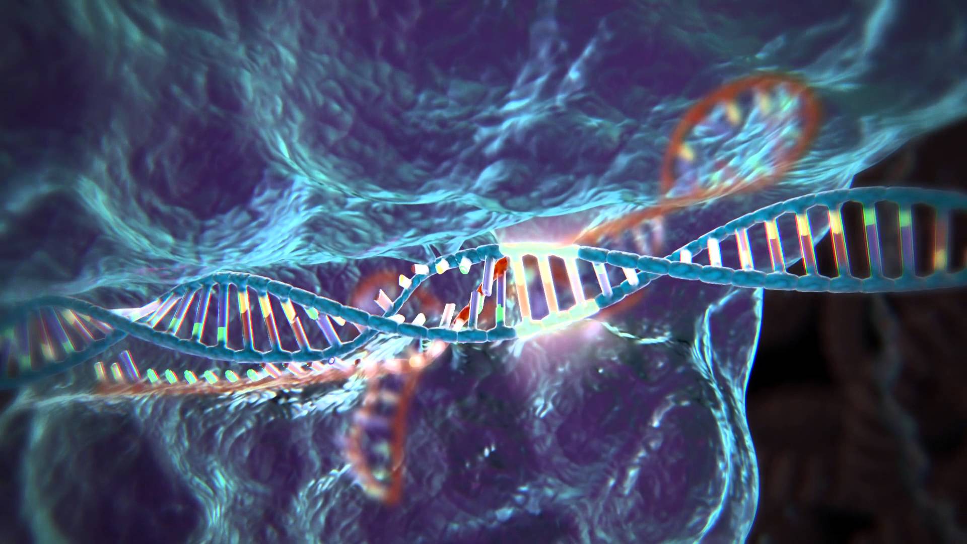 Transhuman Tuesday Designer Babies with CRISPR CAS9