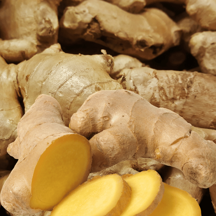 Ginger Absolute - Nila Singapore