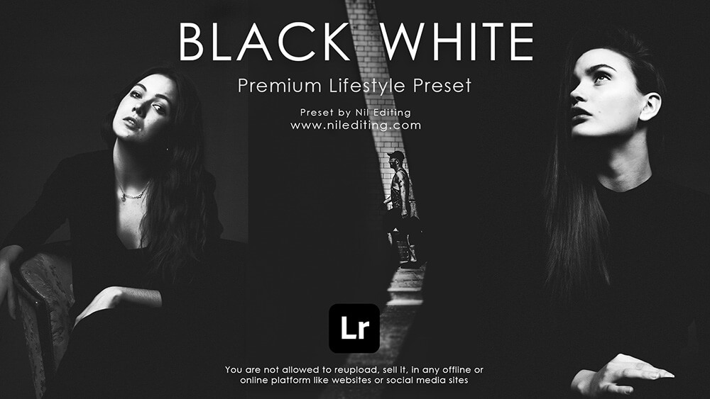 Black & White Filter Lightroom Mobile Preset Nil Editing