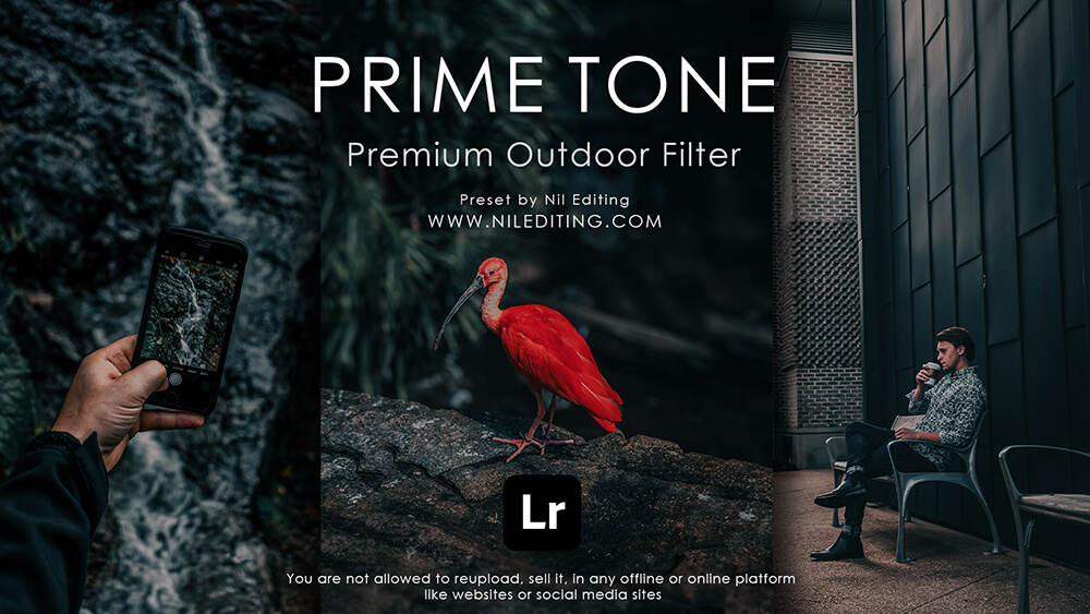 Outdoor Photography Edit Prime Tone Preset Nil Editing