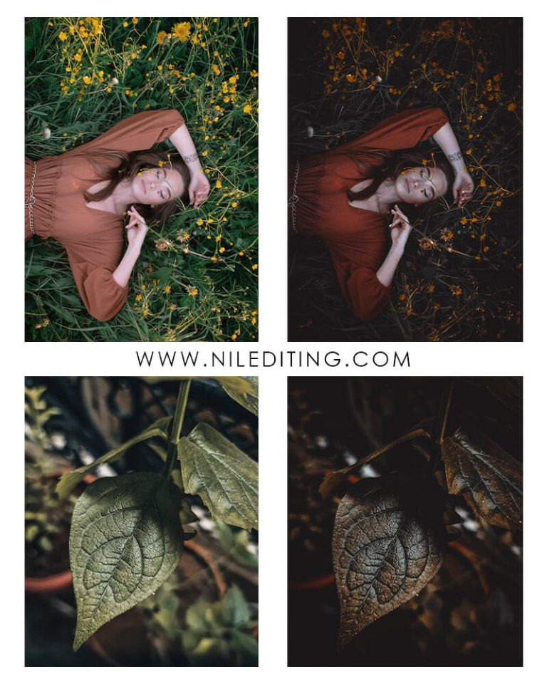 Pro Brown Lightroom Preset Free Download Nil Editing
