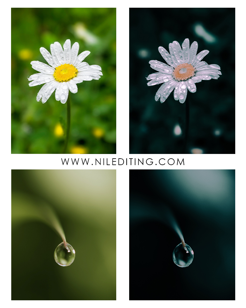 Water Droplets Lightroom Preset Free Download Nil Editing