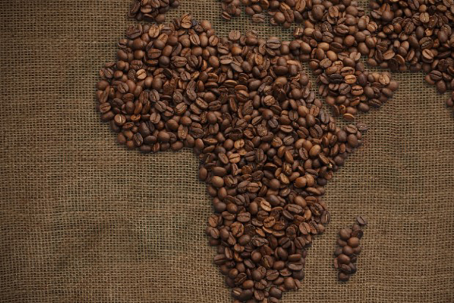 Uganda Coffee Development Authority to crackdown on trade in poor quality coffee in Kasese