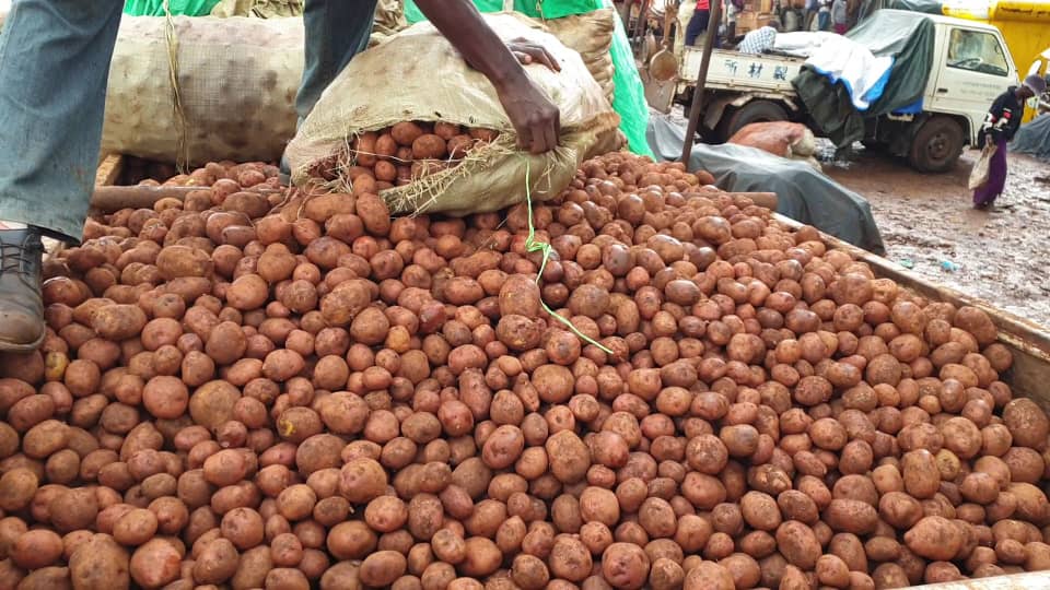 Farmers in tears as bag of irish potatoes drops from Shs 60,000 to Shs