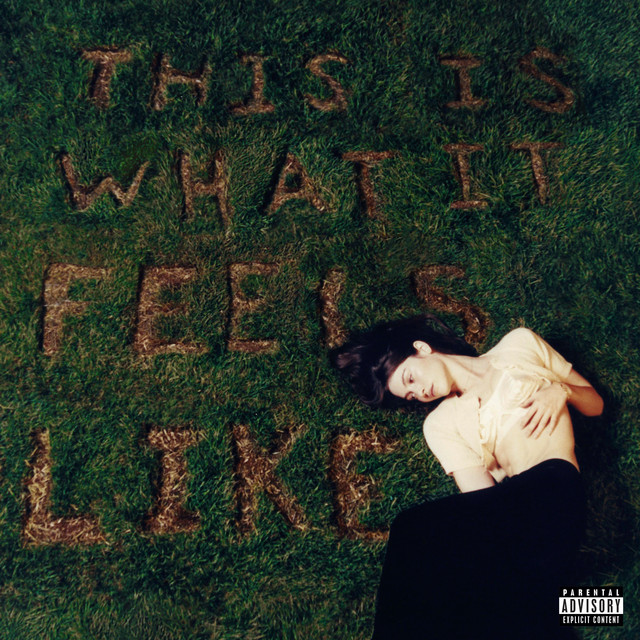 Gracie Abrams Debut’s First FullLength Project “This Is What It Feels Like” Niles West News