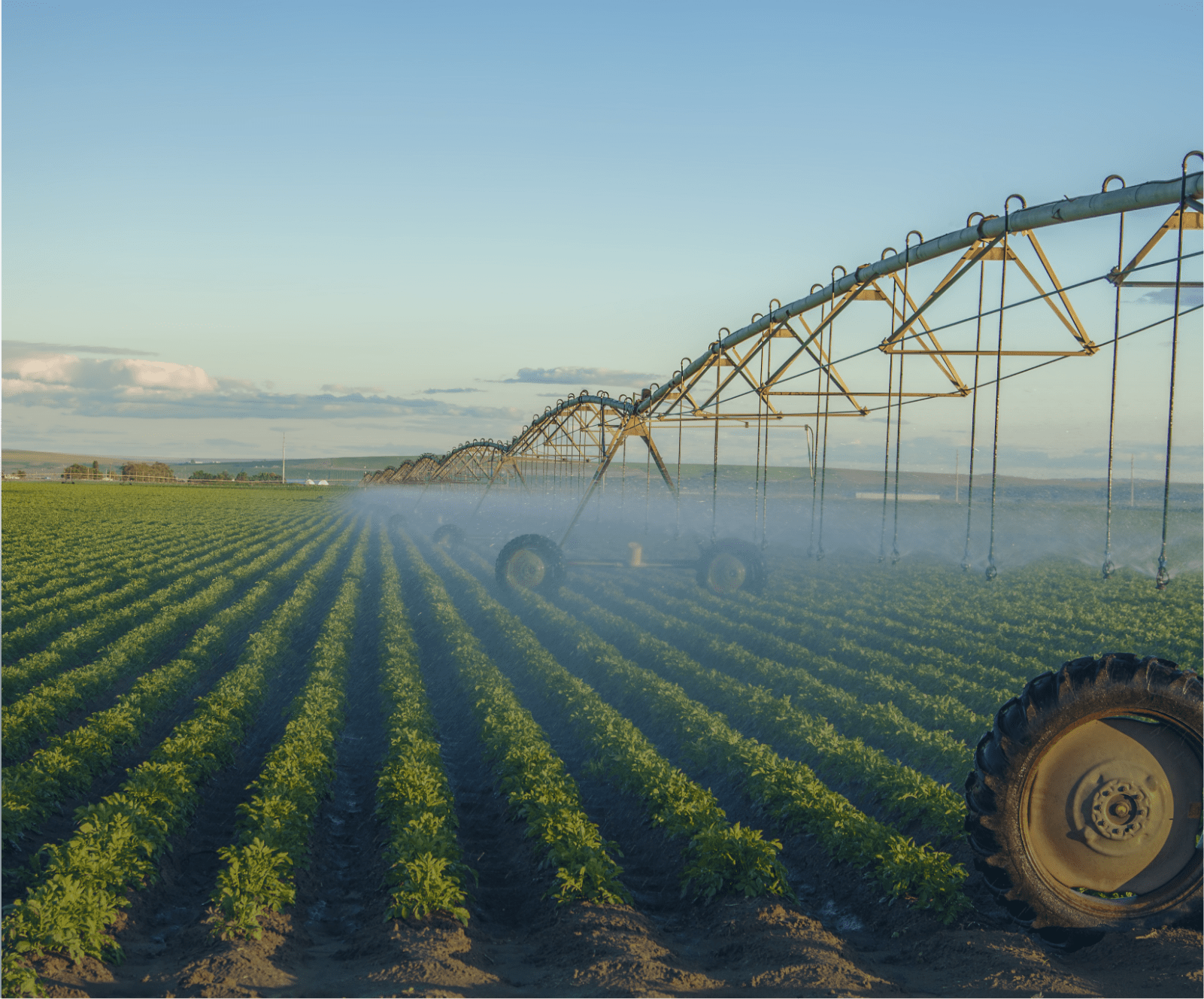 Nili Capital Water & Agriculture