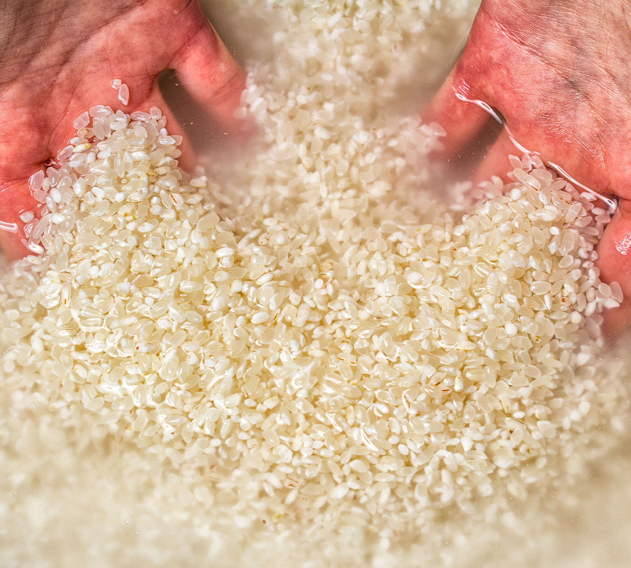 Nilma RW 70 Automatic Rice Washing Machine