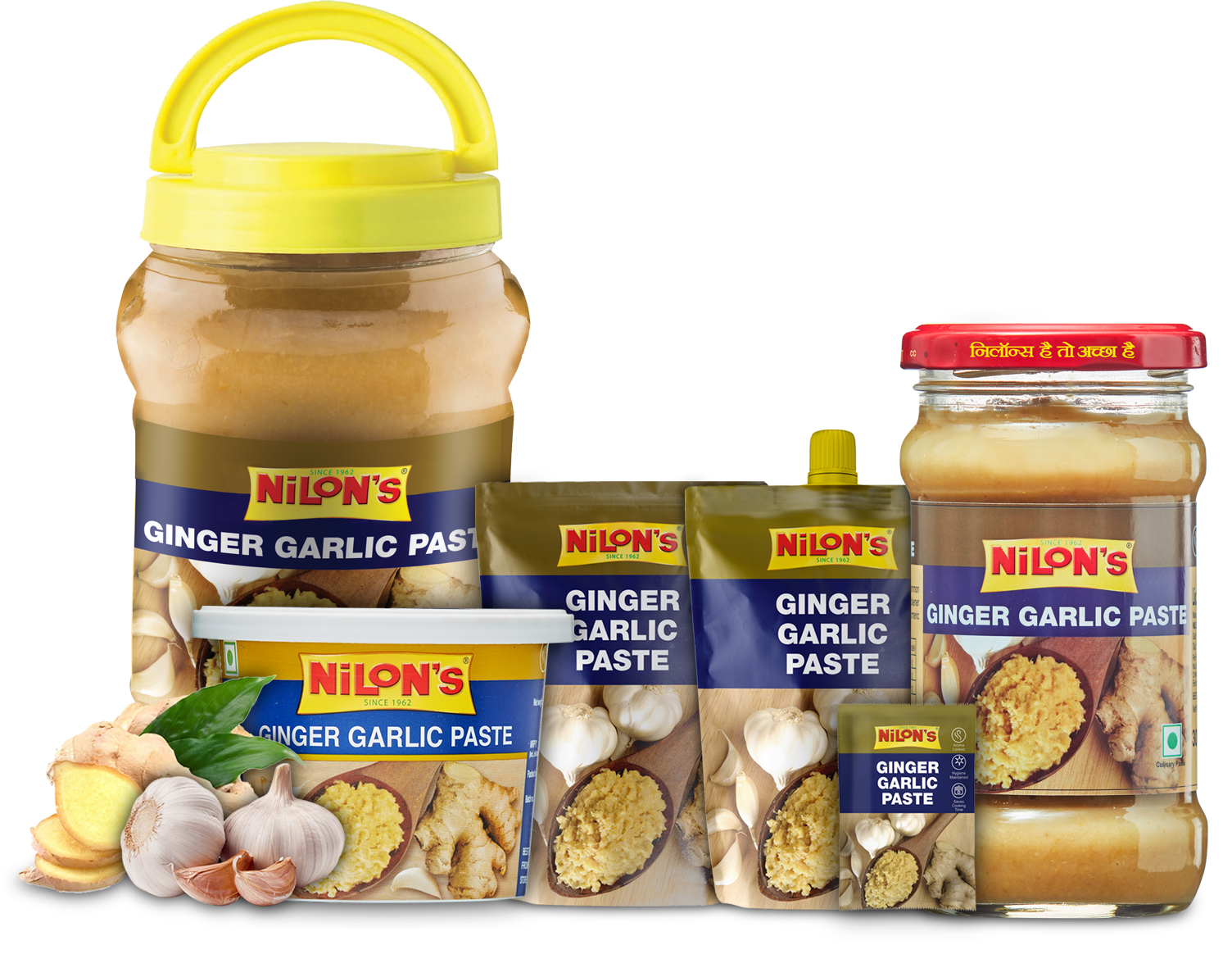 Buy Best Ginger Garlic Paste Online, Best Garlic Paste & Ginger Garlic