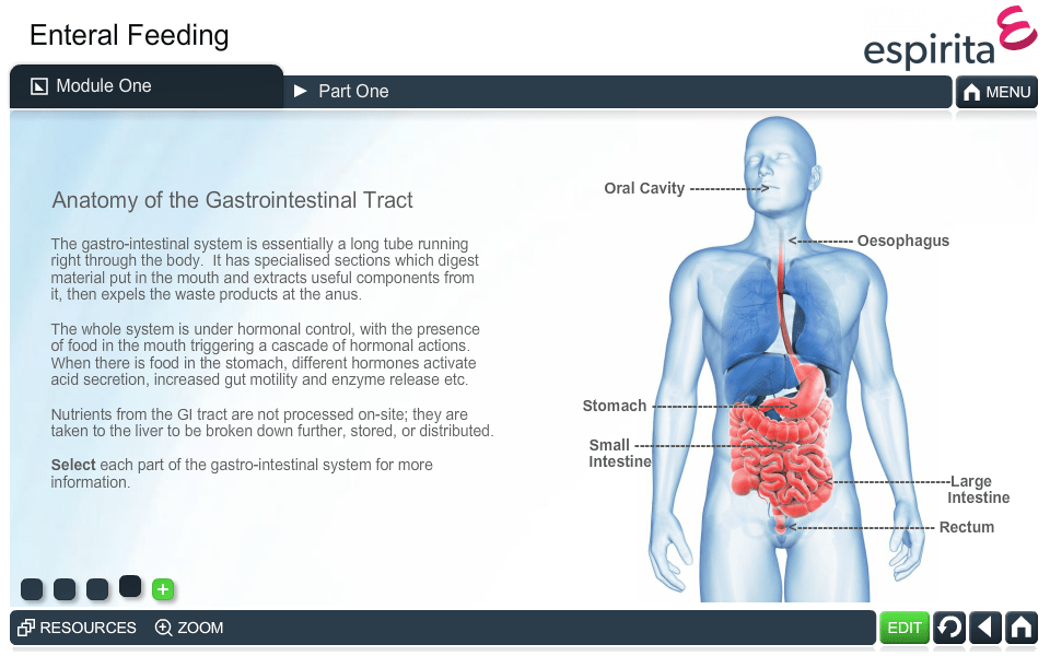 Enteral Feeding Definition Types Procedure Indications
