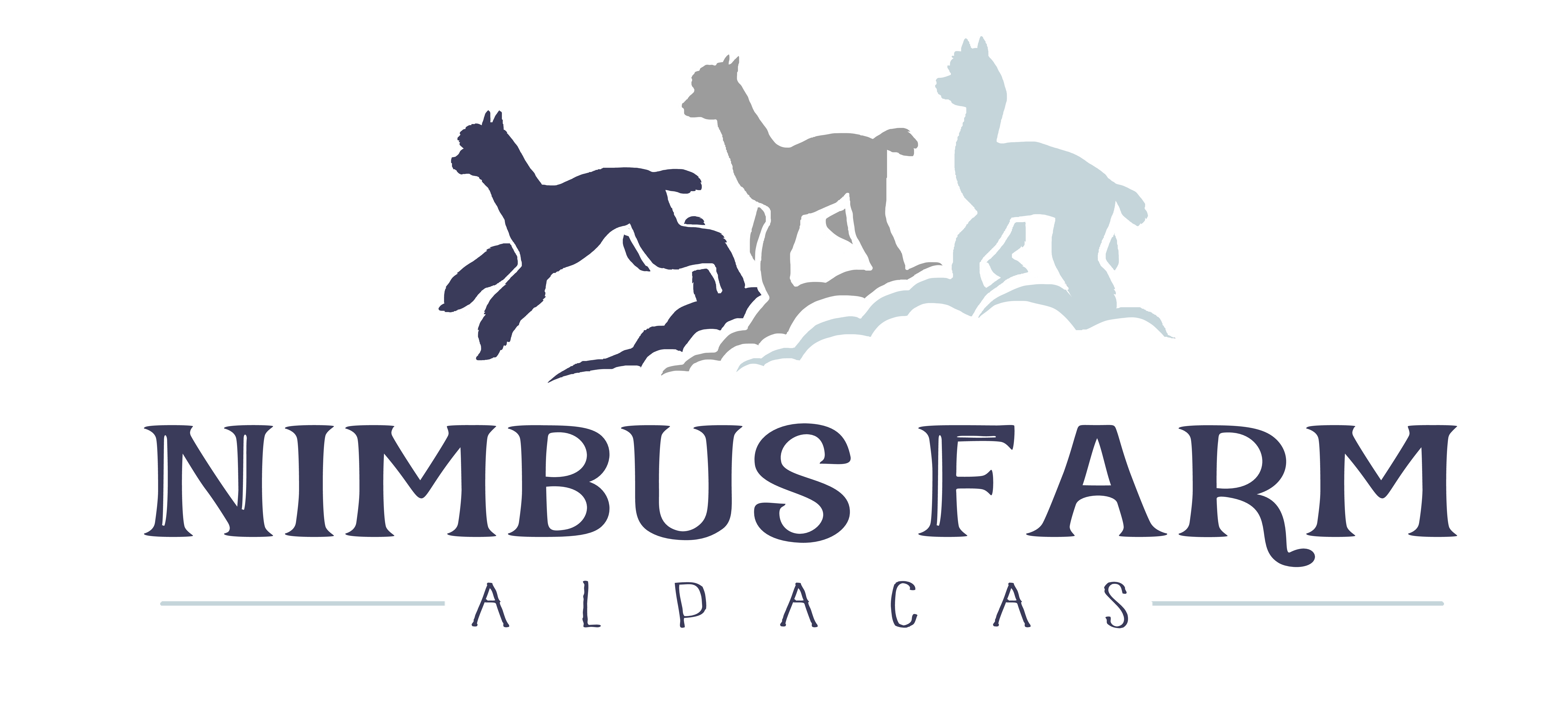 Classes Nimbus Farm Alpacas