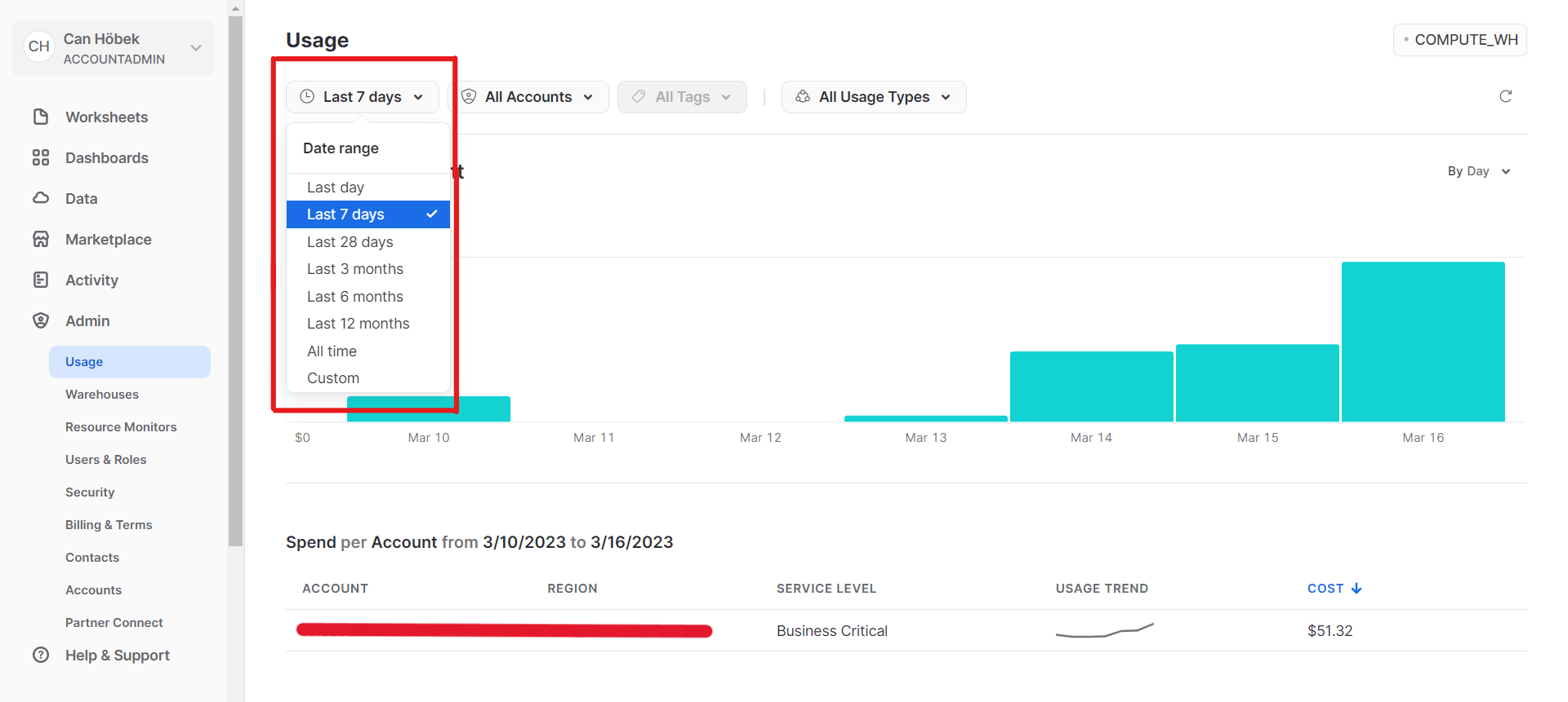 Snowflake Usage History