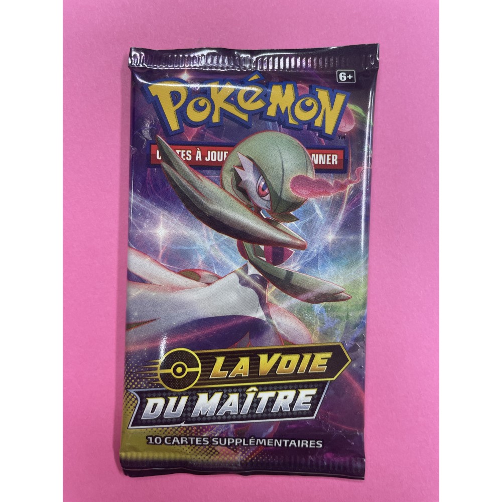 EB LA VOIE DU MAITRE