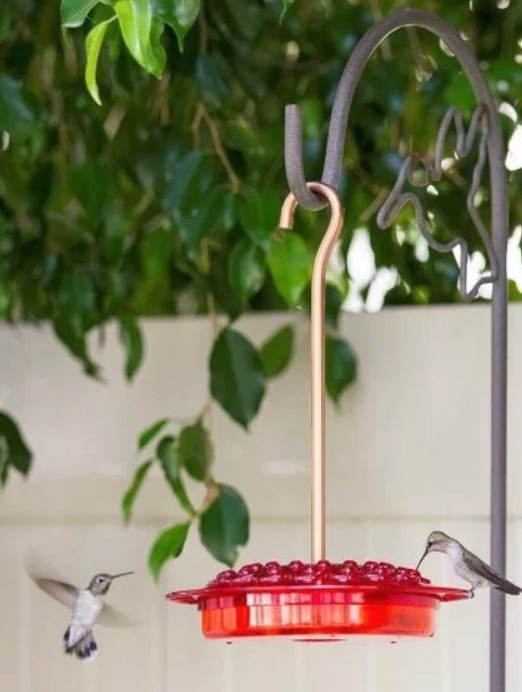 The Five Best Hummingbird Feeders on the Market Today