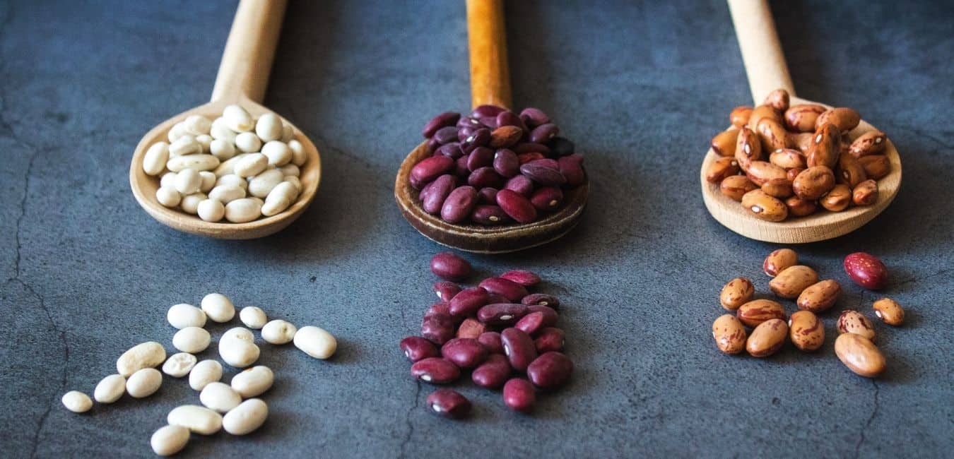 Beans Can Help You Lose Weight Don't Make These 4 Mistakes Nina Carras