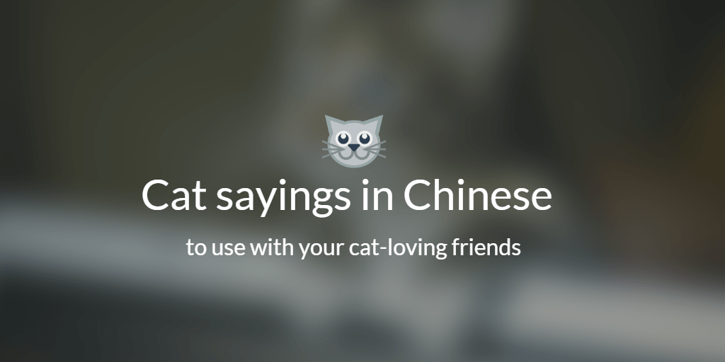 Cat sayings 6 purrfect quotes in Chinese Ninchanese
