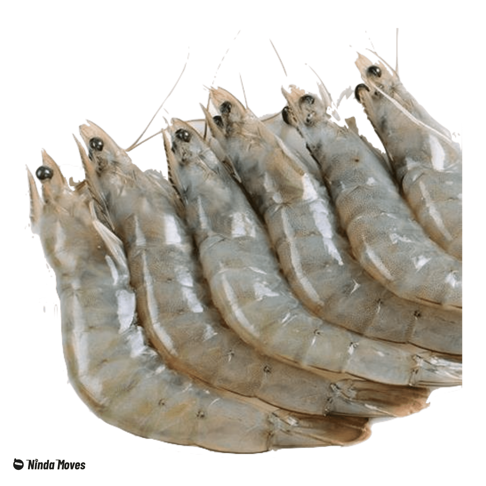 Order Seafoods Online Bacolod Delivery Ninda Moves