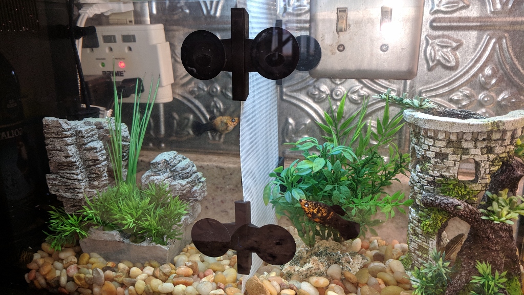 Fish Tank Divider ORBITED BY NINE DARK MOONS