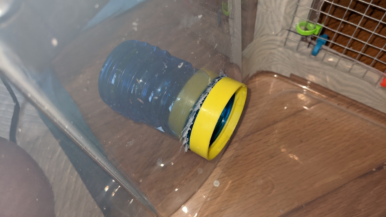 Bin Cages for the Mice ORBITED BY NINE DARK MOONS