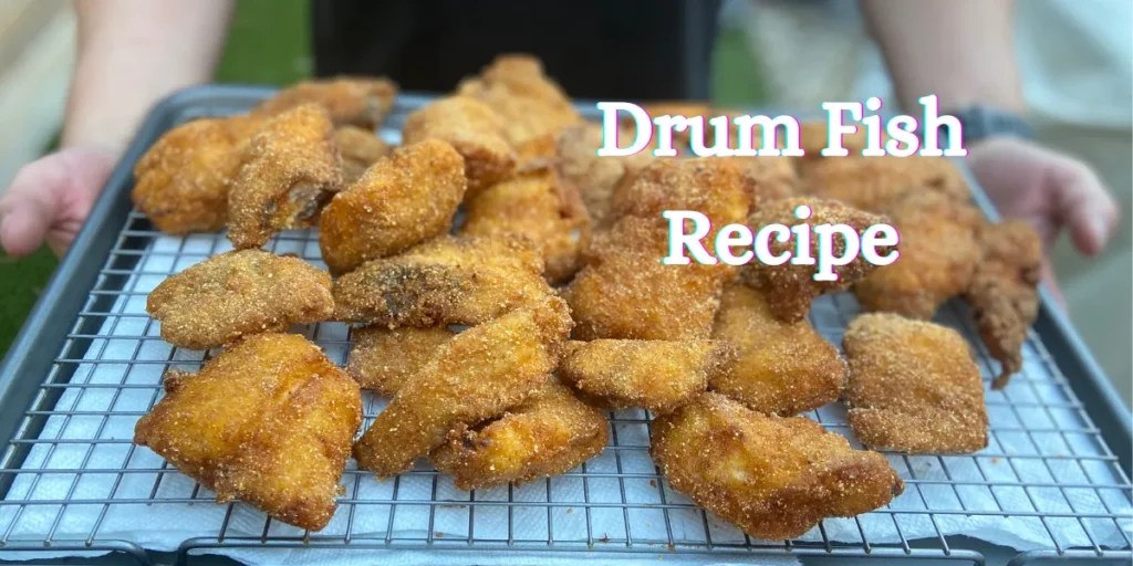 Delicious Drum Fish Recipe Easy & Flavorful Cooking