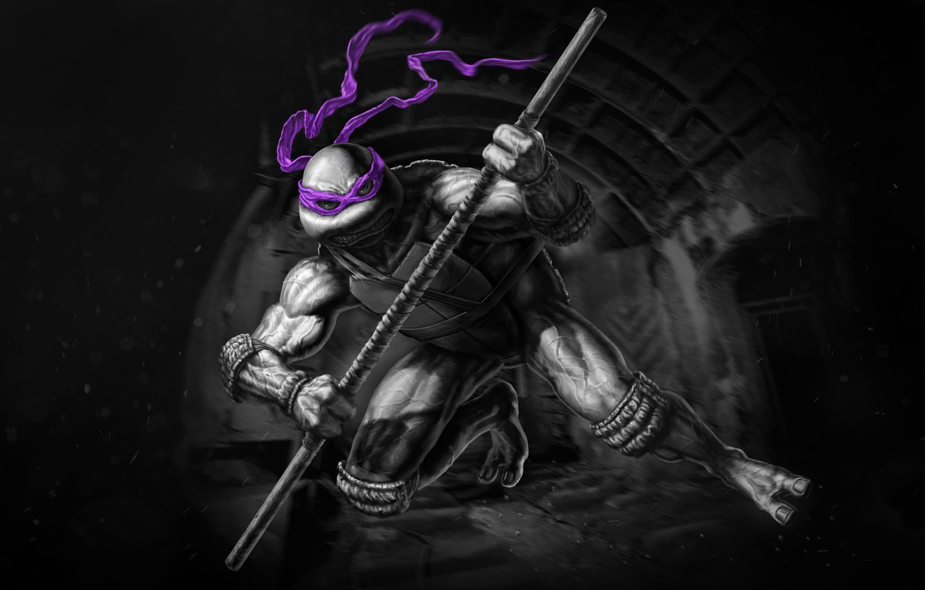 Everything You Want to Know About Ninja Turtle Donatello