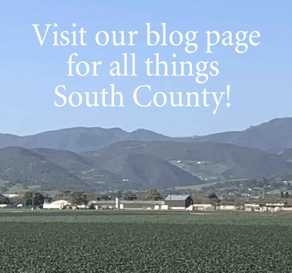 Nino Homes Neighbors Building Neighborhoods New Home Builders