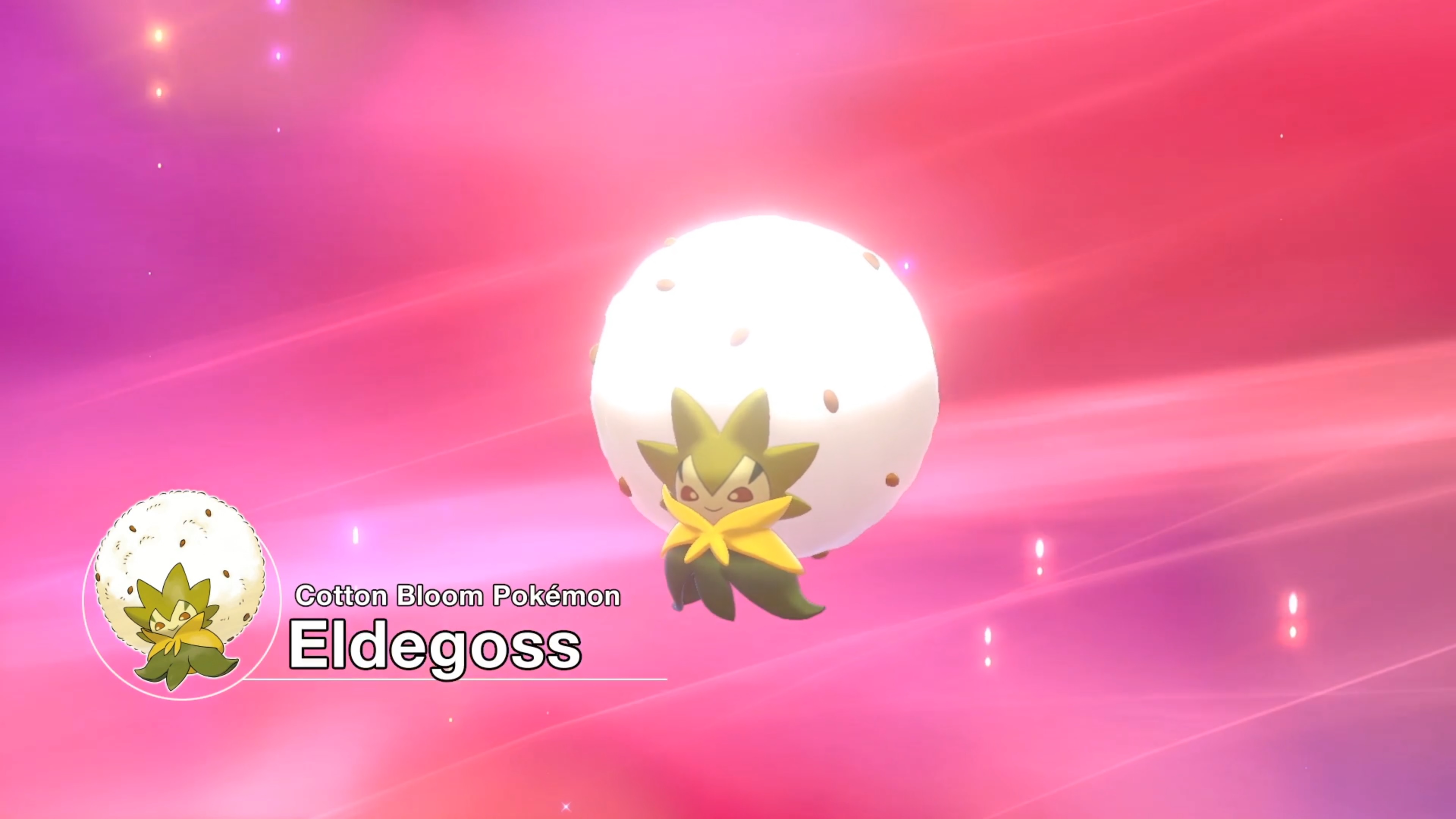 Pokemon Sword and Pokemon Shield reveals Wooloo, Gossifleur, Drednaw