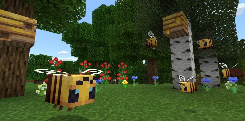 How To Tame A Dolphin In Minecraft Xbox One
