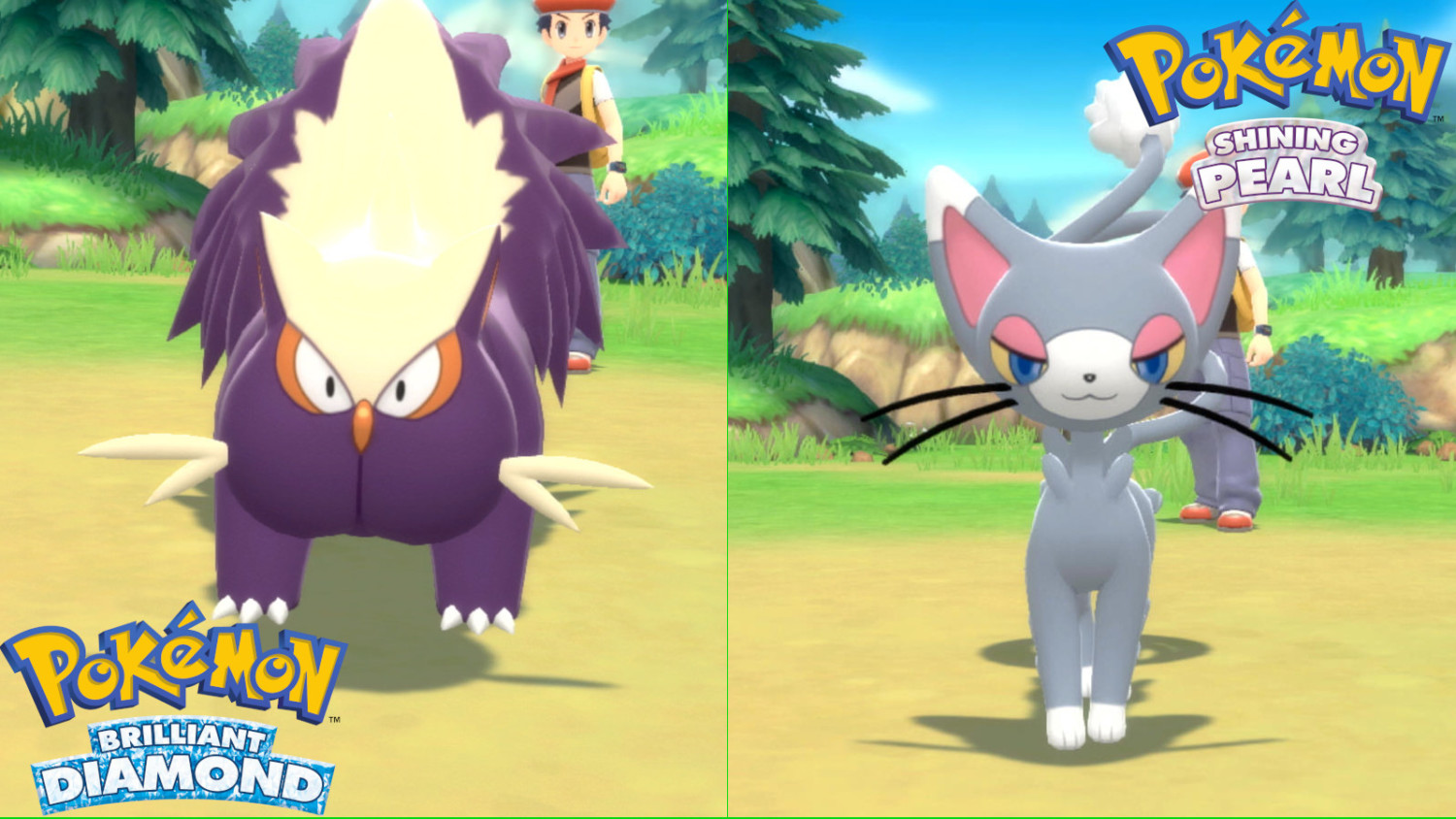 Guide All Version Exclusive Pokemon For Pokemon Brilliant Diamond And