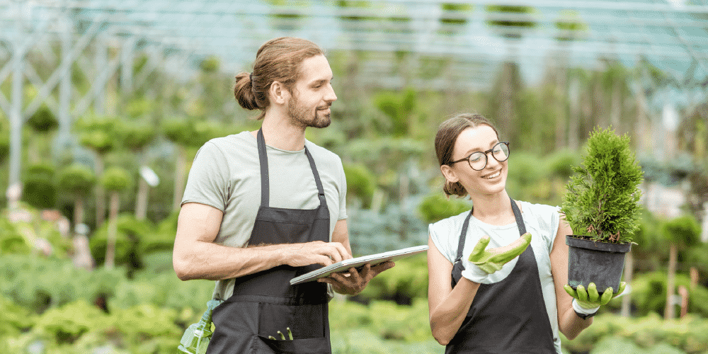 How Automation is Transforming Greenhouses and Nurseries