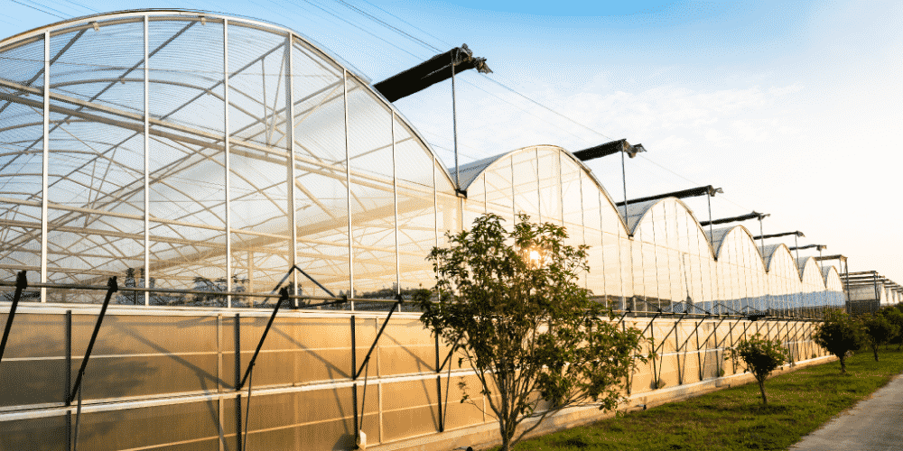 5 Reasons to Insure Your Greenhouse Structures NIP Group