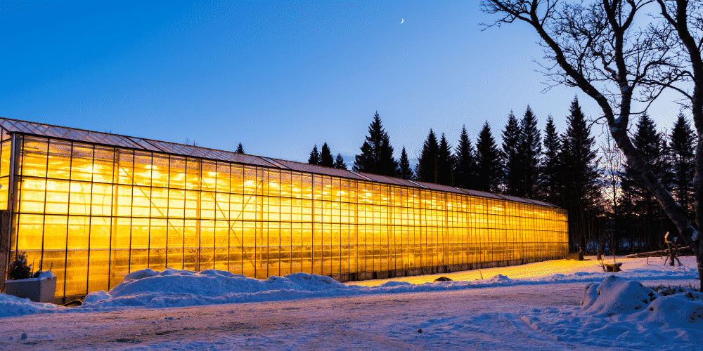 How to Prepare Your Greenhouse for Winter NIP Group