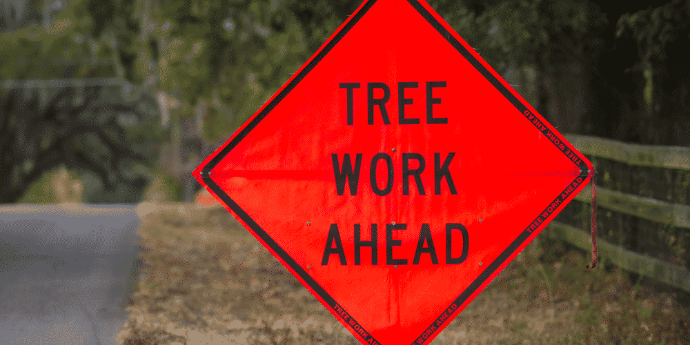 TreePro inar Integrating Safety to Reduce Risk and Increase