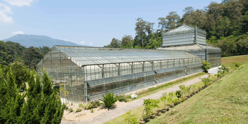 Why the Location and Orientation of Your Greenhouse Matter
