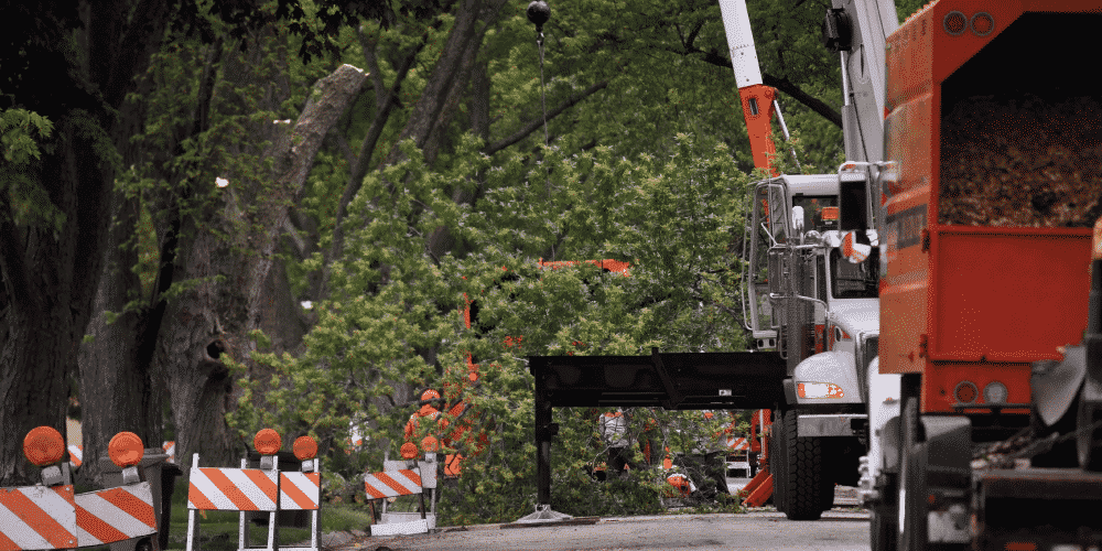 Essential Safety Tips for Tree Service Crews PPE, Drop Zones, and
