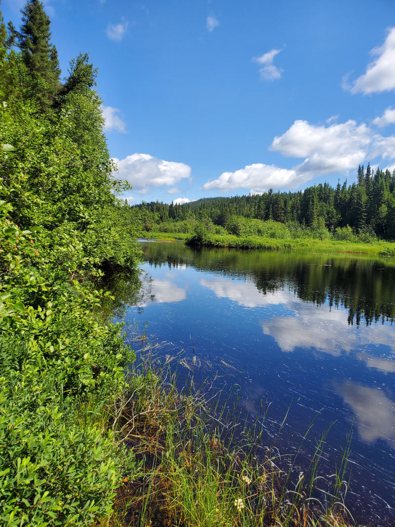 Nipigon Canoe rentals