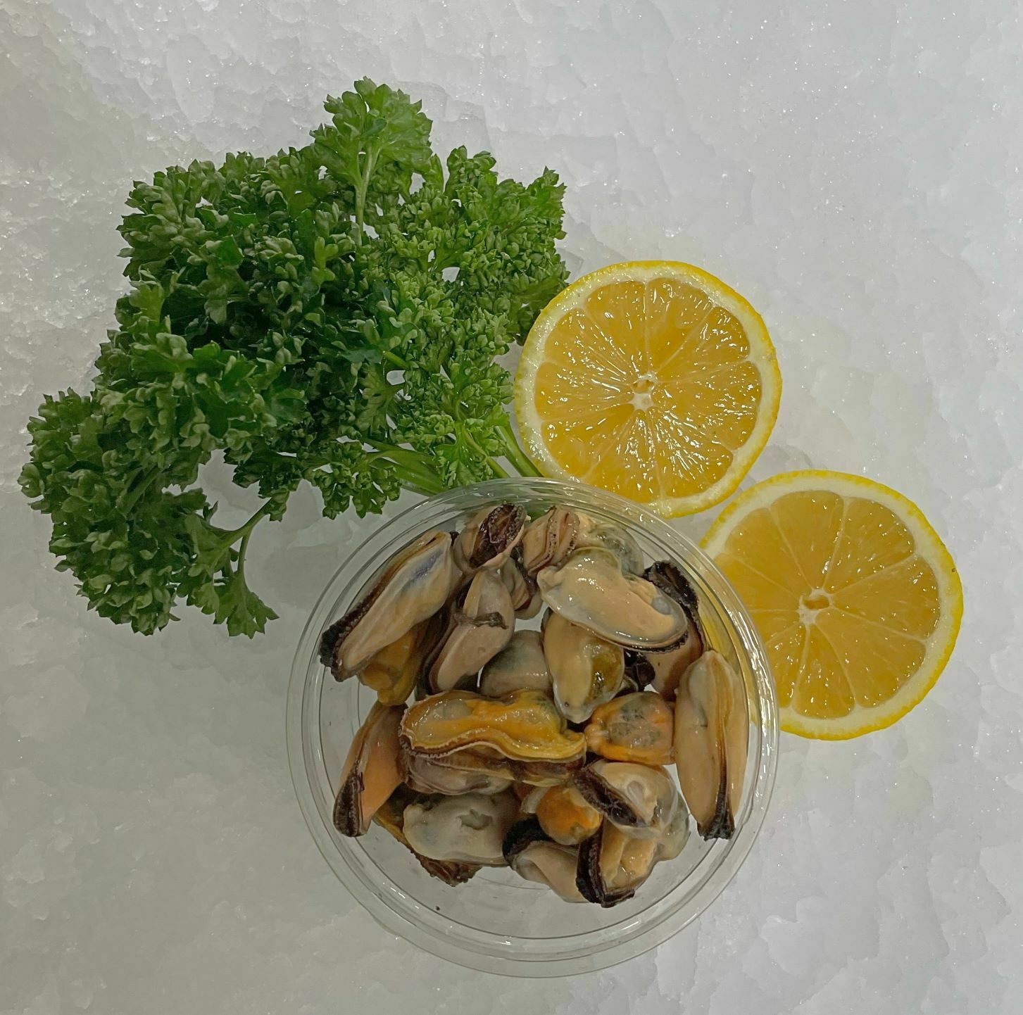 Pot of Fresh Mussel Meat Pengellys Fishmongers of Looe