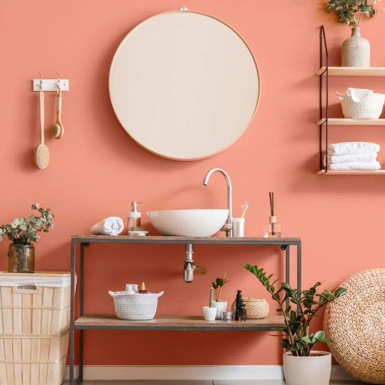 Apricot Nippon Paint Singapore