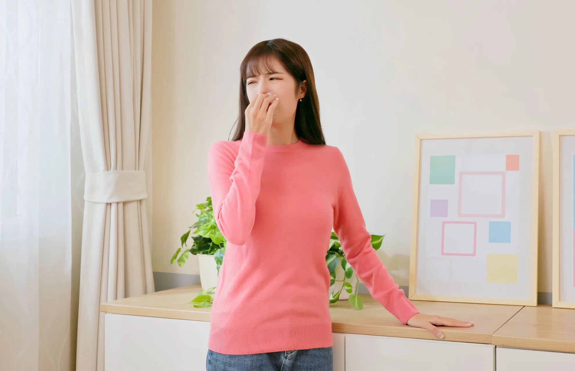 A Guide to Choosing the Best Nippon White Paint for Your Living Room